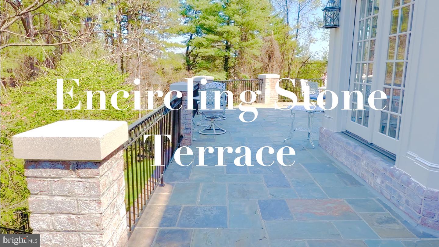 1289 Ballantrae Farm Dr Property Photo 46
