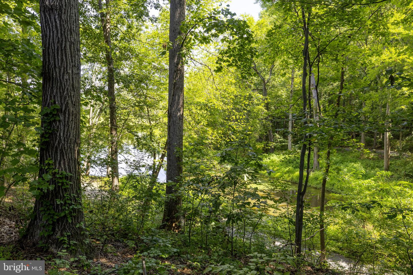 5723 Waters Edge Landing Ct Property Photo 5