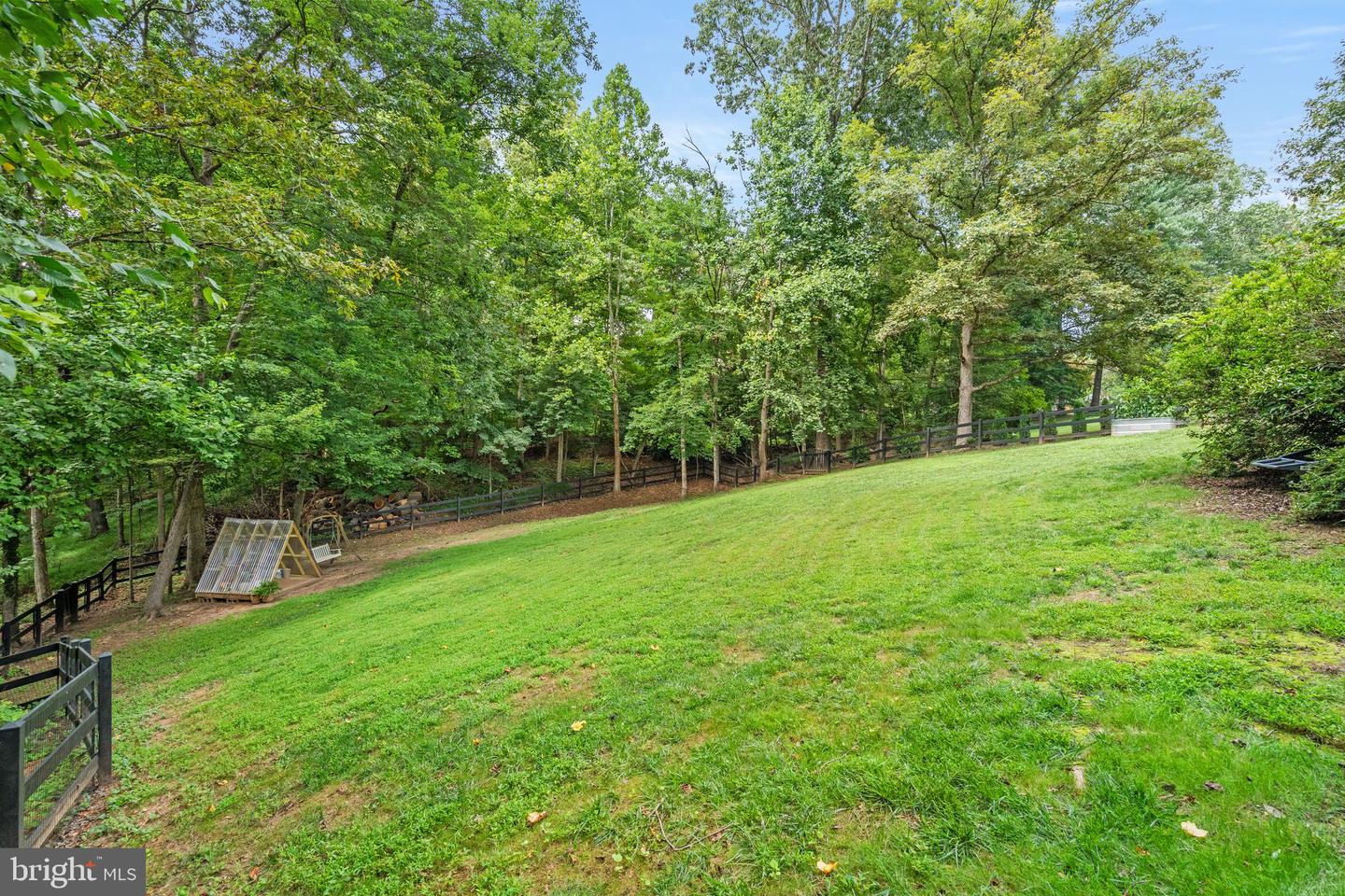 11300 Timberline Dr Property Photo 50