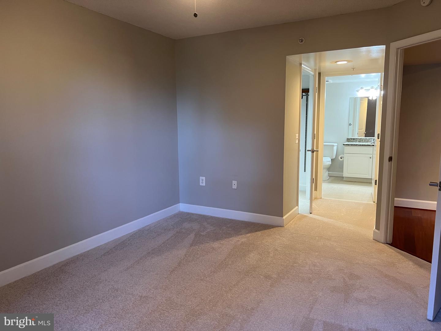11800 Sunset Hills Rd #313 Property Photo 28