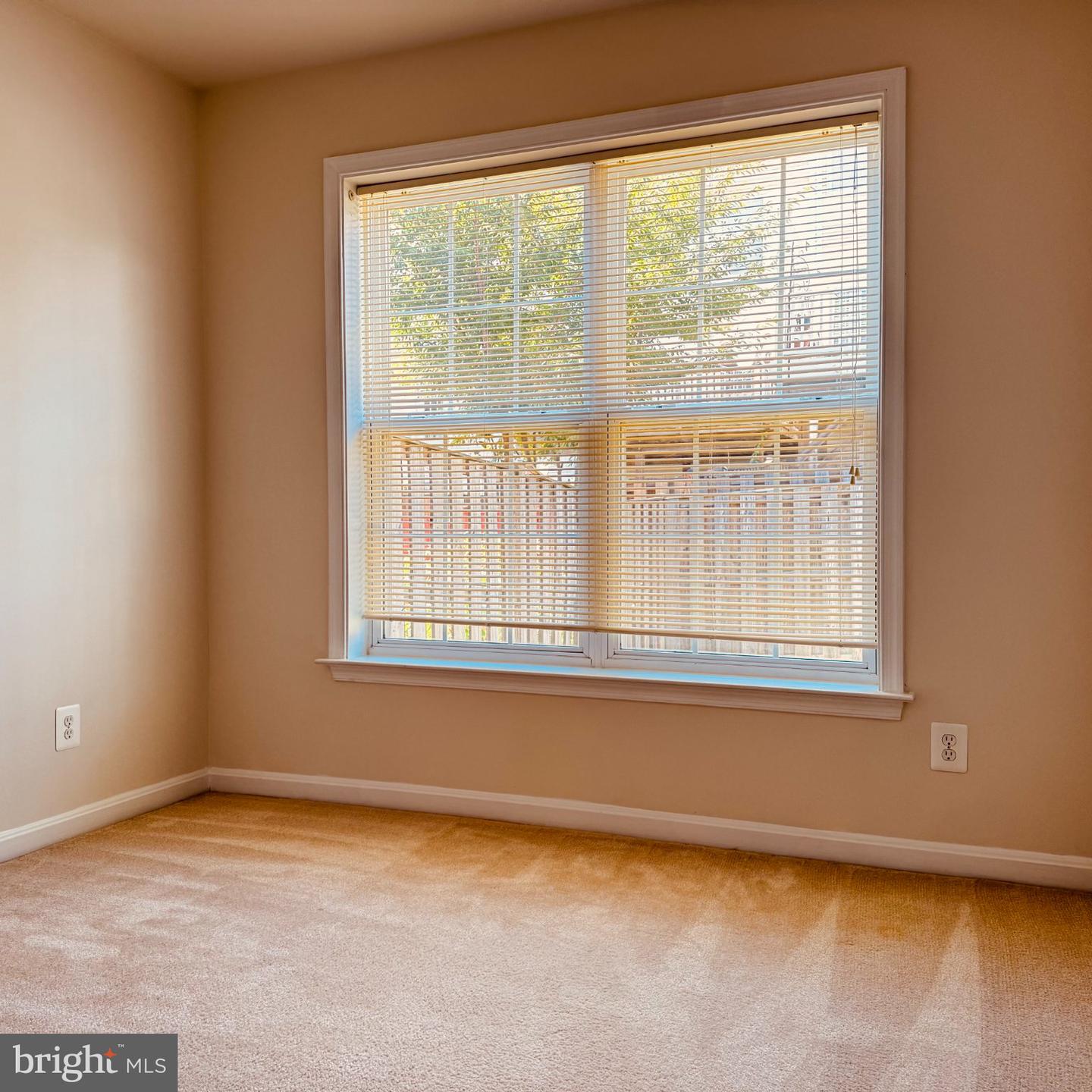 8936 Singleleaf Cir Property Photo 8