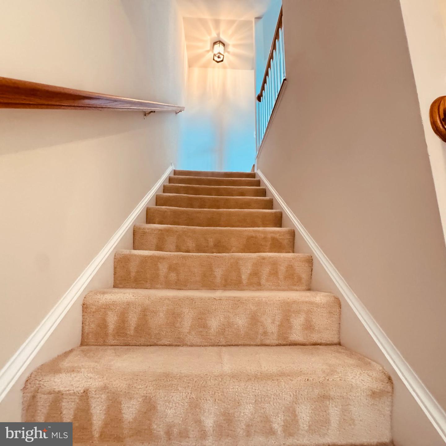 8936 Singleleaf Cir Property Photo 18