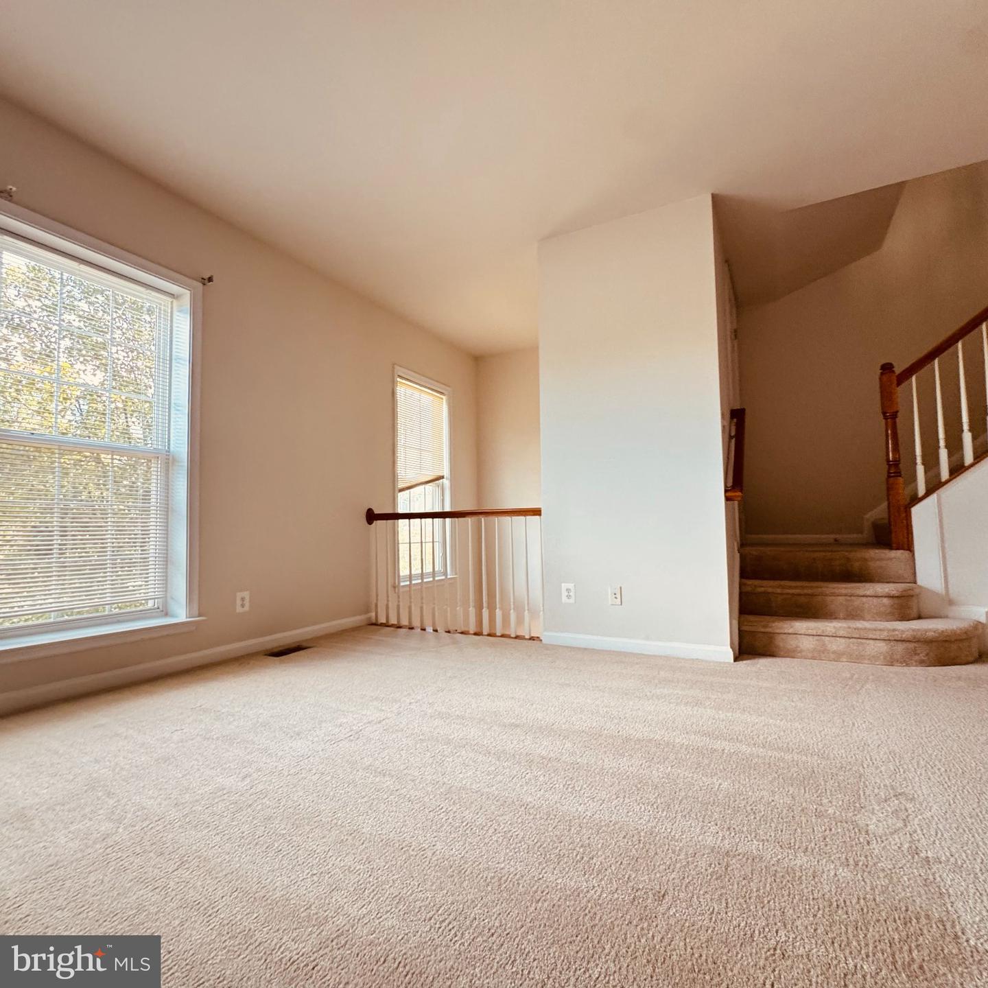 8936 Singleleaf Cir Property Photo 25