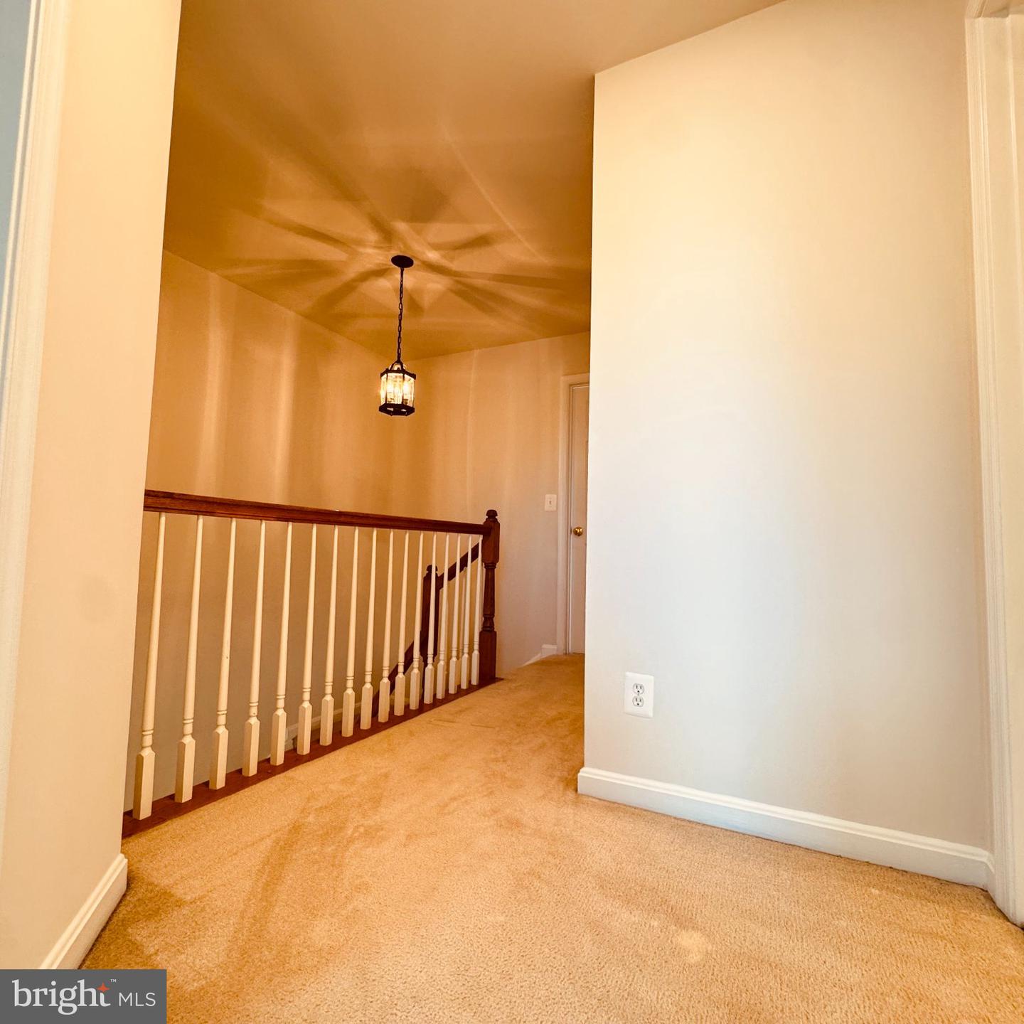 8936 Singleleaf Cir Property Photo 47