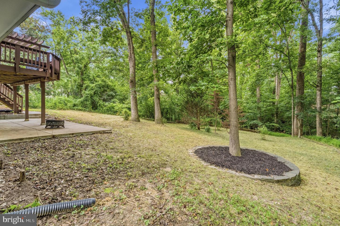 7916 Delozier Ct Property Photo 36