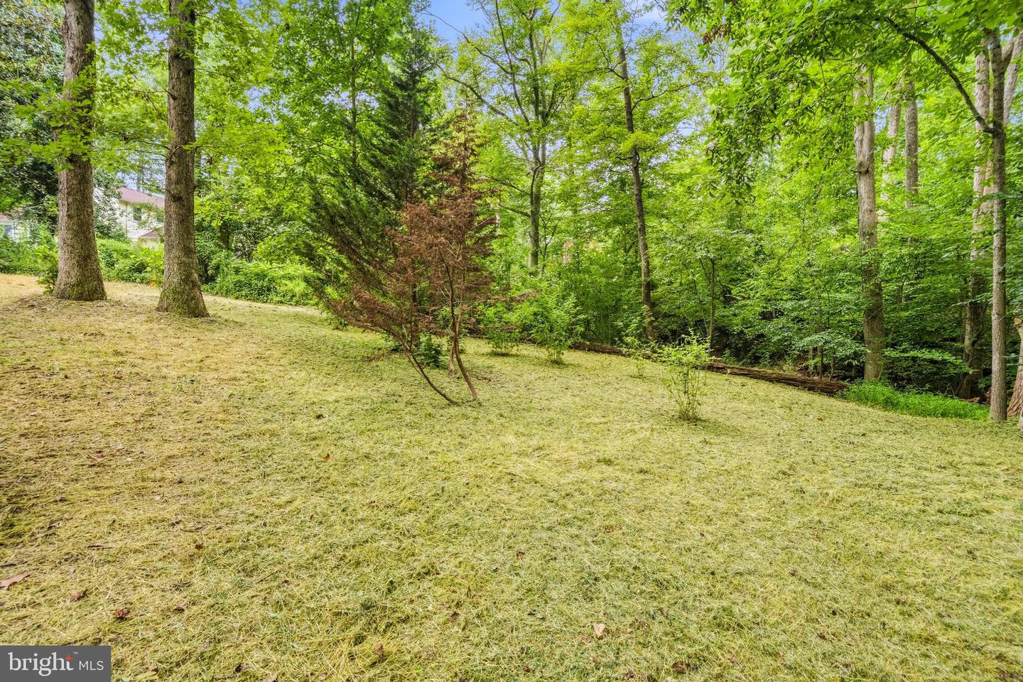 7916 Delozier Ct Property Photo 41