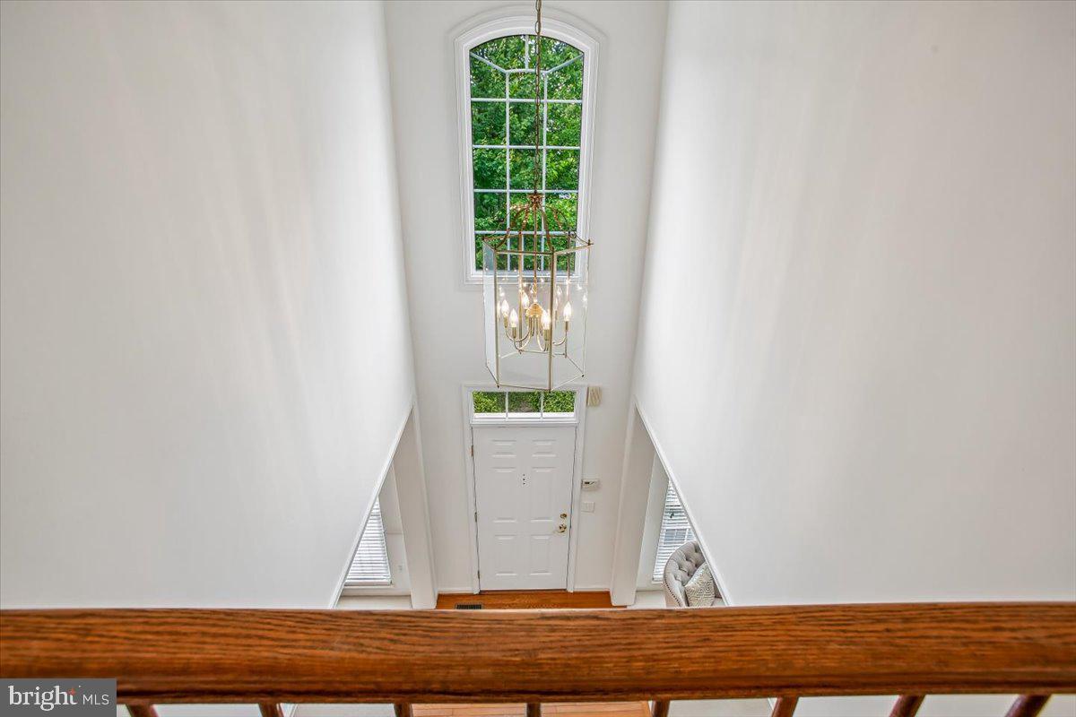 8558 Fisher Woods Dr Property Photo 32