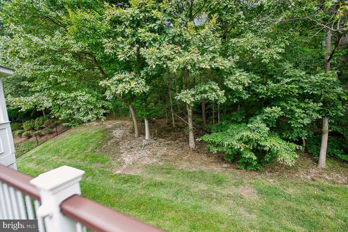 8558 Fisher Woods Dr Property Photo 82