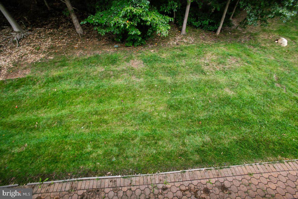 8558 Fisher Woods Dr Property Photo 83