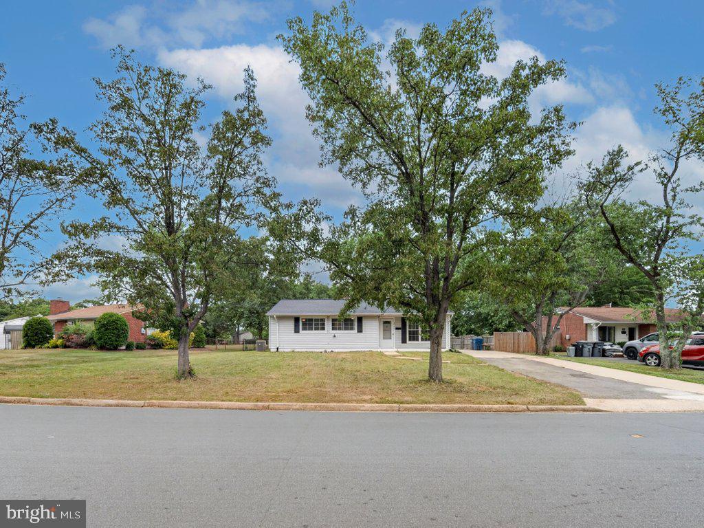 4906 Upland Dr Property Photo 5