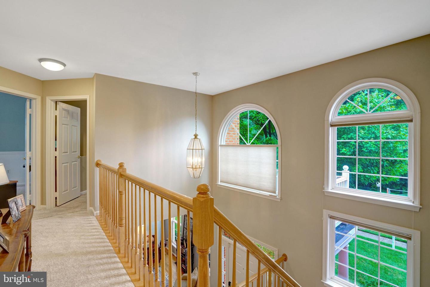 8929 Mountain Ash Dr Property Photo 35