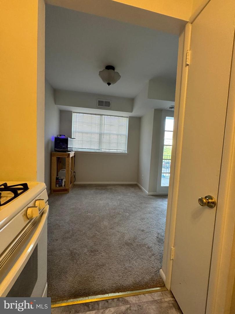 7093 Spring Garden Dr #101 Property Photo 7