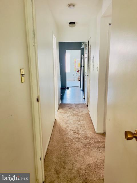 9707 Kings Crown Ct #101 Property Photo 16