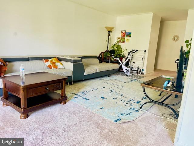 9707 Kings Crown Ct #101 Property Photo 18