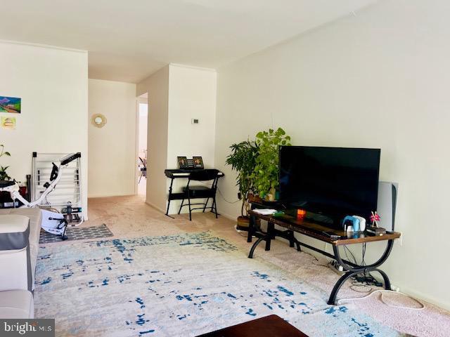9707 Kings Crown Ct #101 Property Photo 19