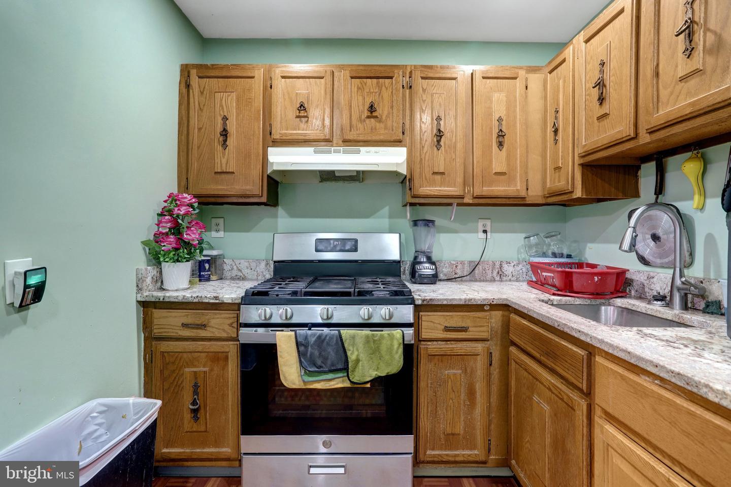 6133 Leesburg Pike #201 Property Photo 12
