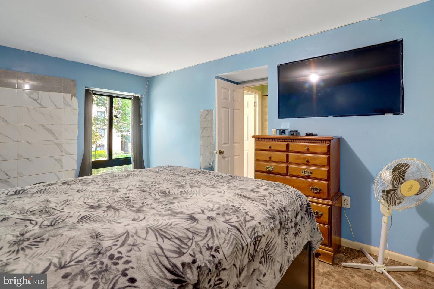 6133 Leesburg Pike #201 Property Photo 13