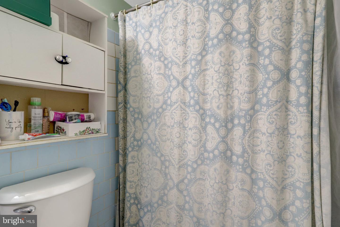 6133 Leesburg Pike #201 Property Photo 19