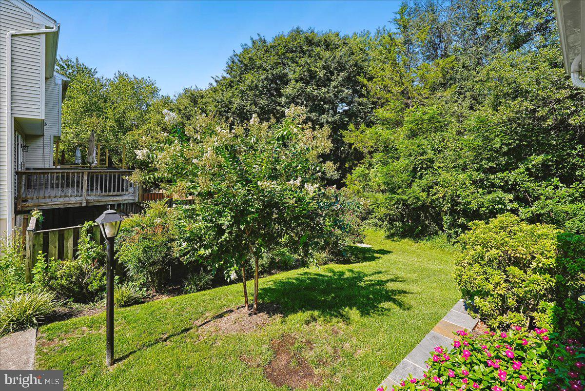 13479 Old Dairy Ct Property Photo 44