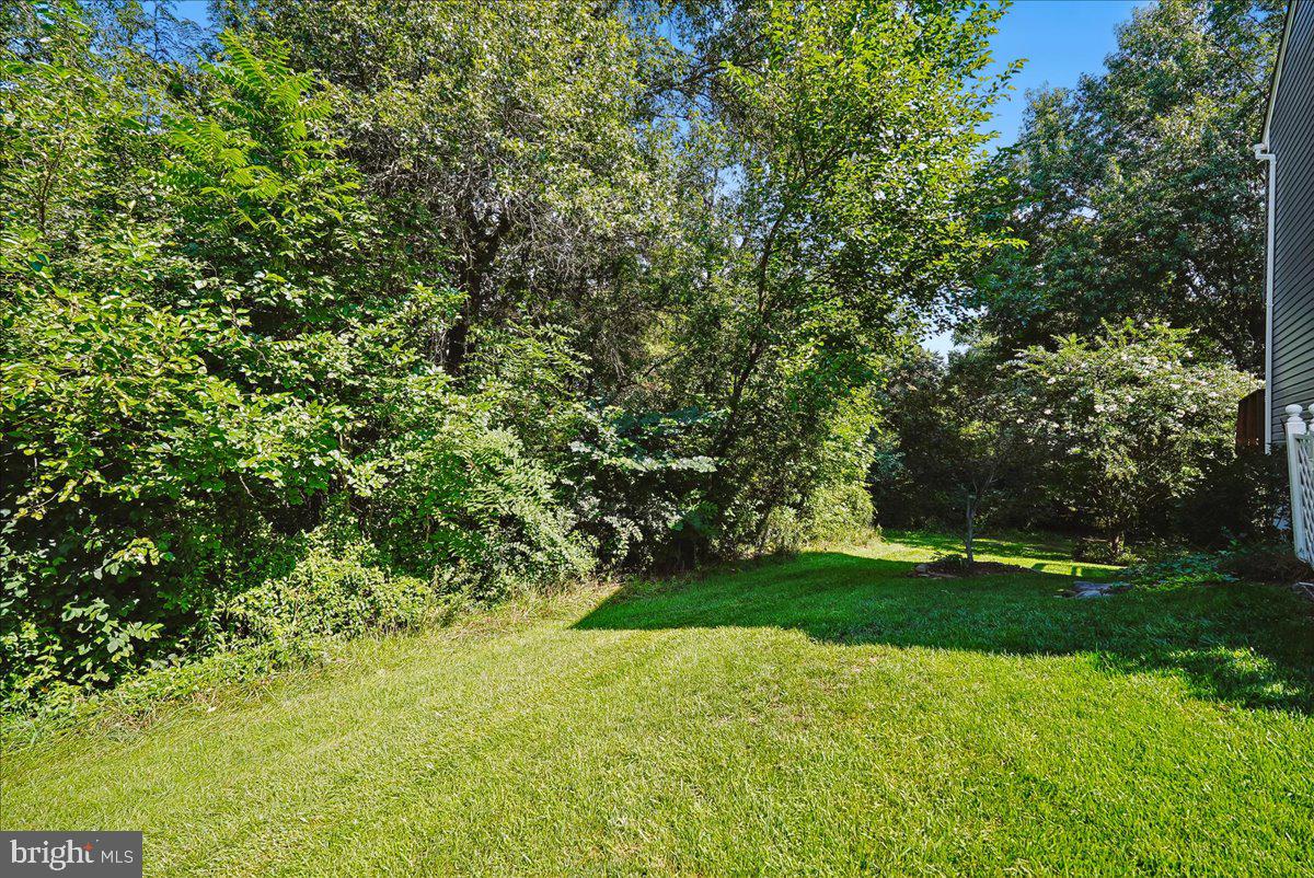 13479 Old Dairy Ct Property Photo 45