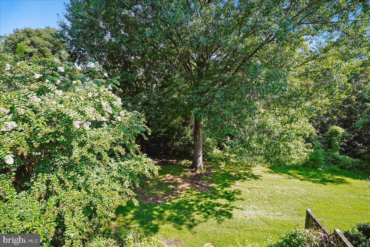 13479 Old Dairy Ct Property Photo 46