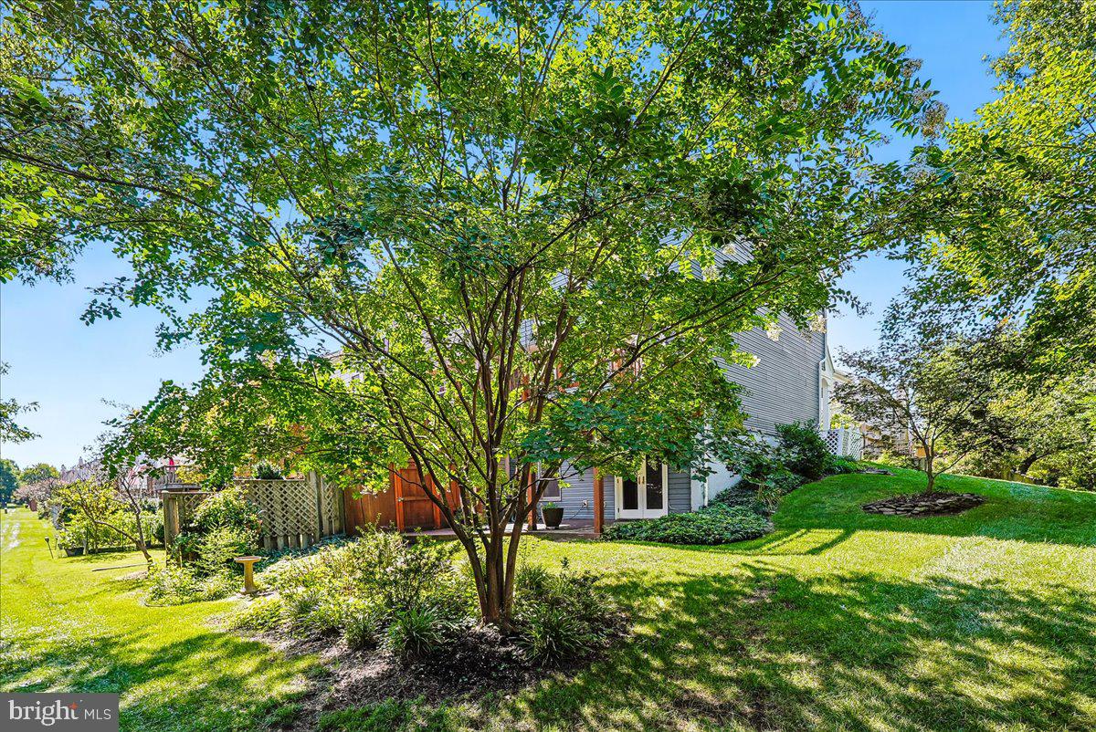 13479 Old Dairy Ct Property Photo 50
