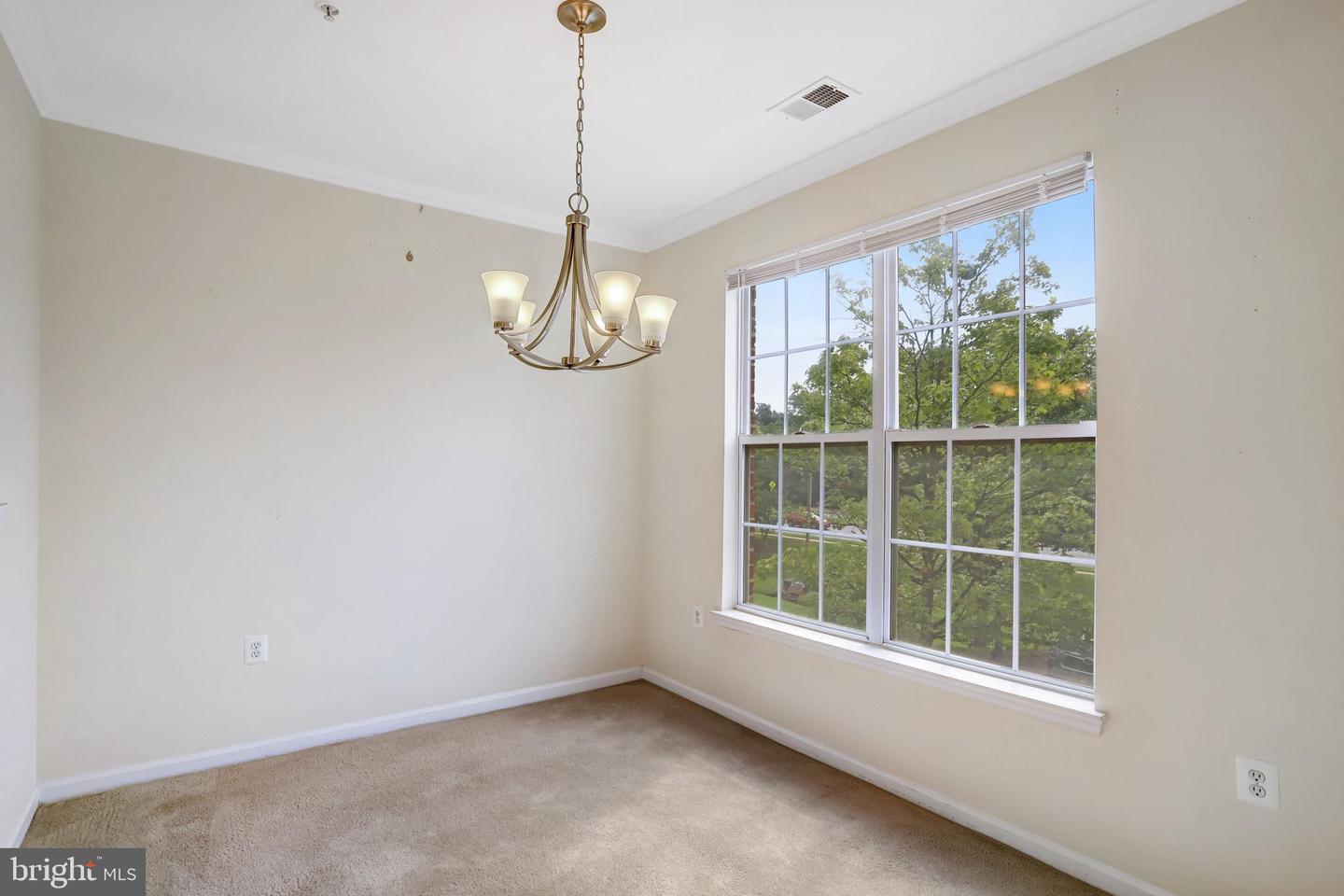 2433 Coopers Branch Ct Property Photo 10