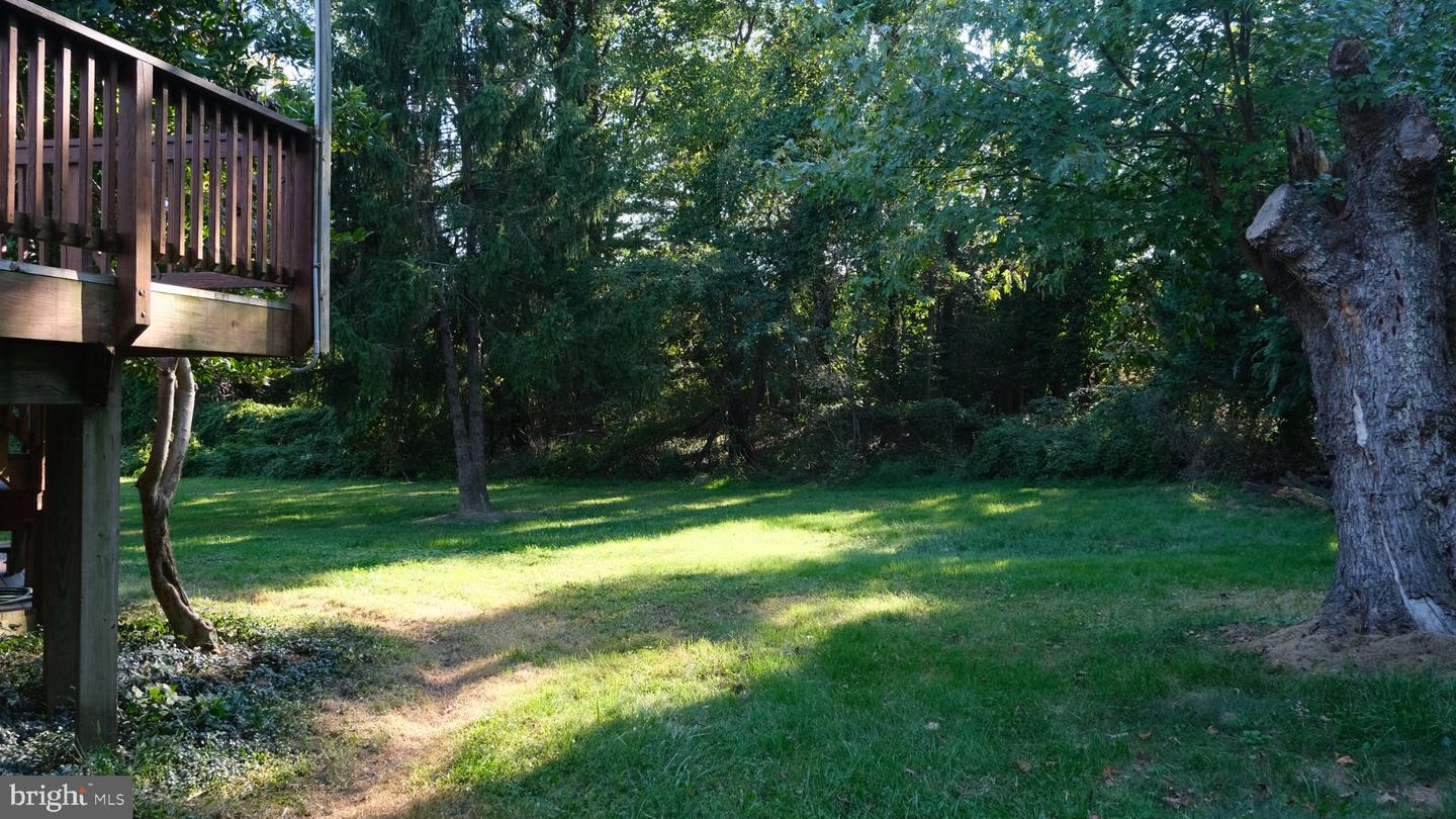 1636 Great Falls St Property Photo 28