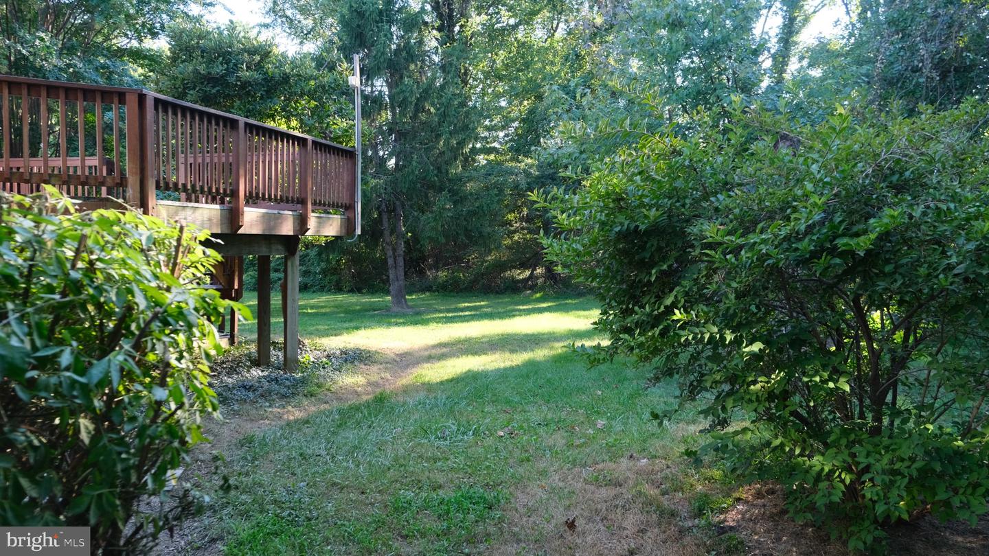 1636 Great Falls St Property Photo 29