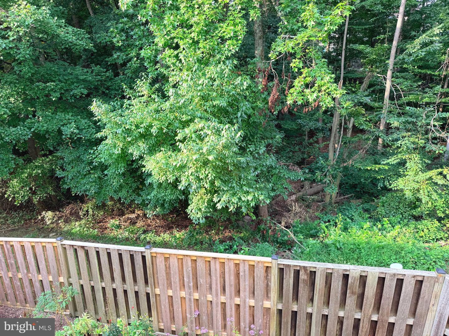 6062 Hollow Hill Ln Property Photo 35
