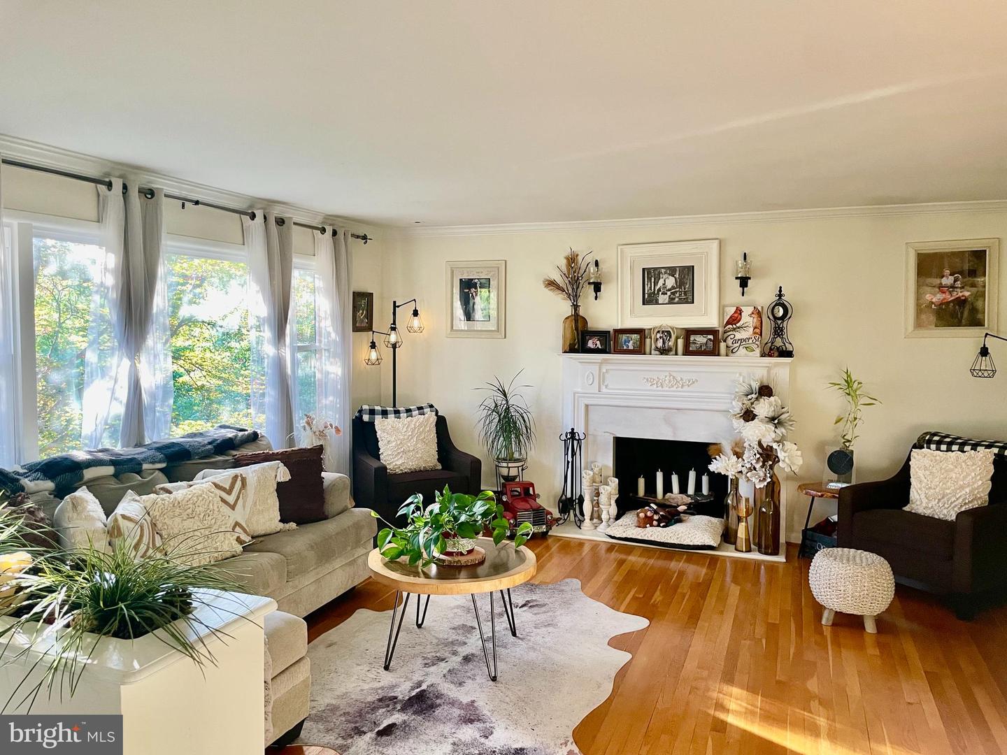 1036 Carper St Property Photo 4