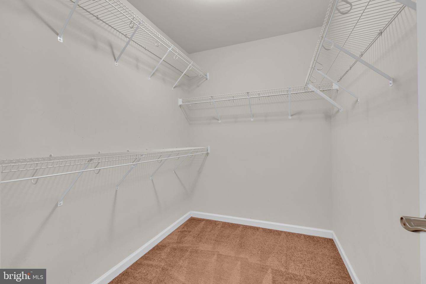 12213 Silver Cypress Ter Property Photo 21