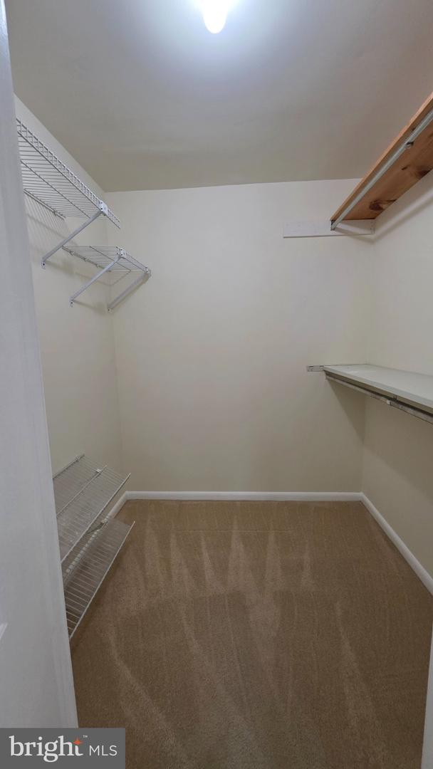 5964 Clerkenwell Ct Property Photo 22