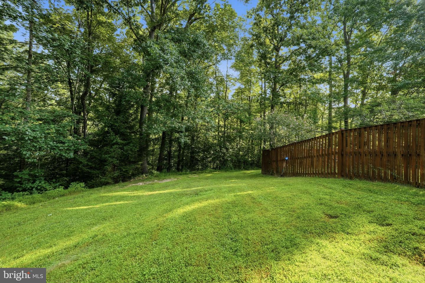 8108 Clifforest Dr Property Photo 29
