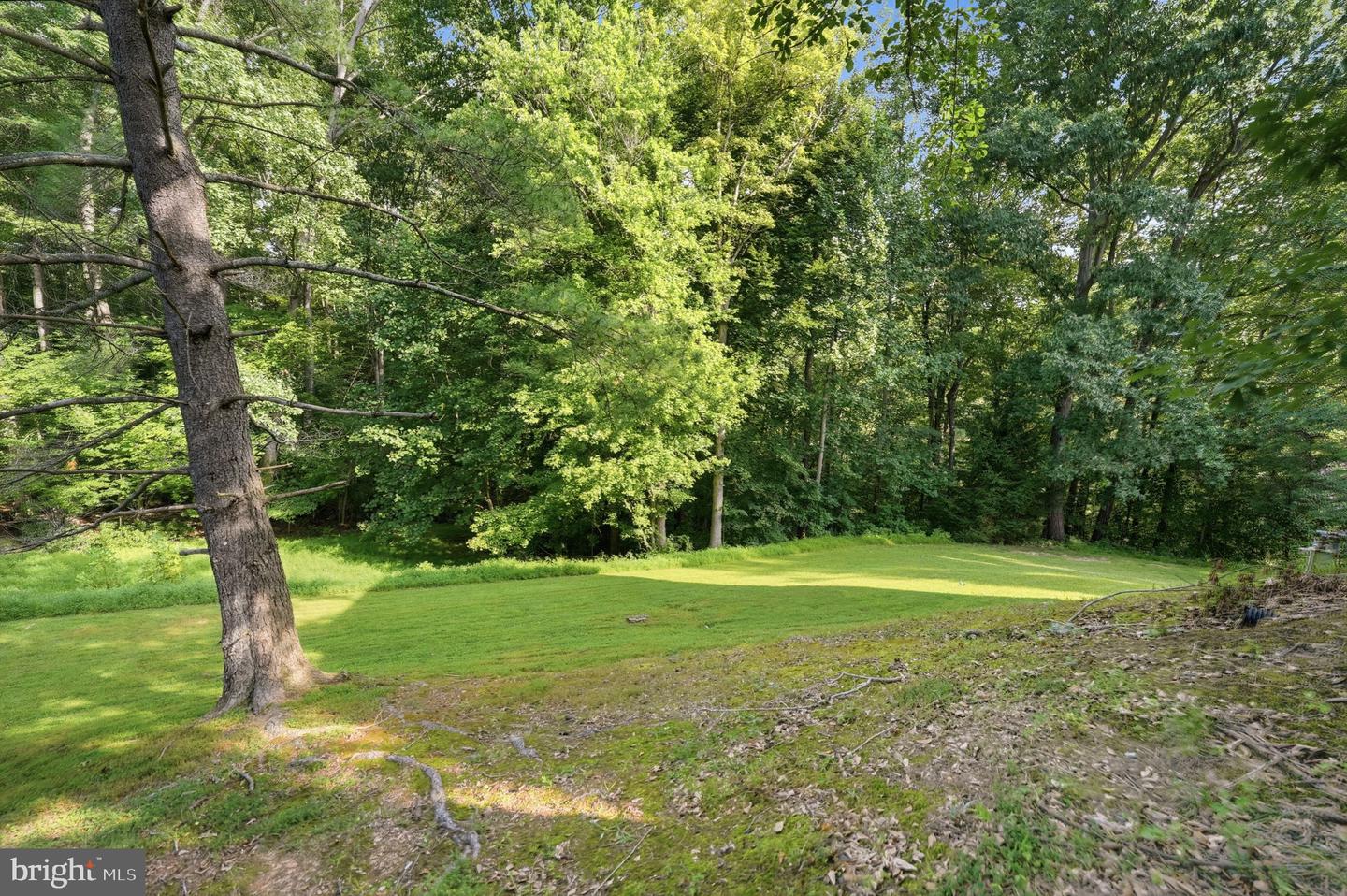 8108 Clifforest Dr Property Photo 30