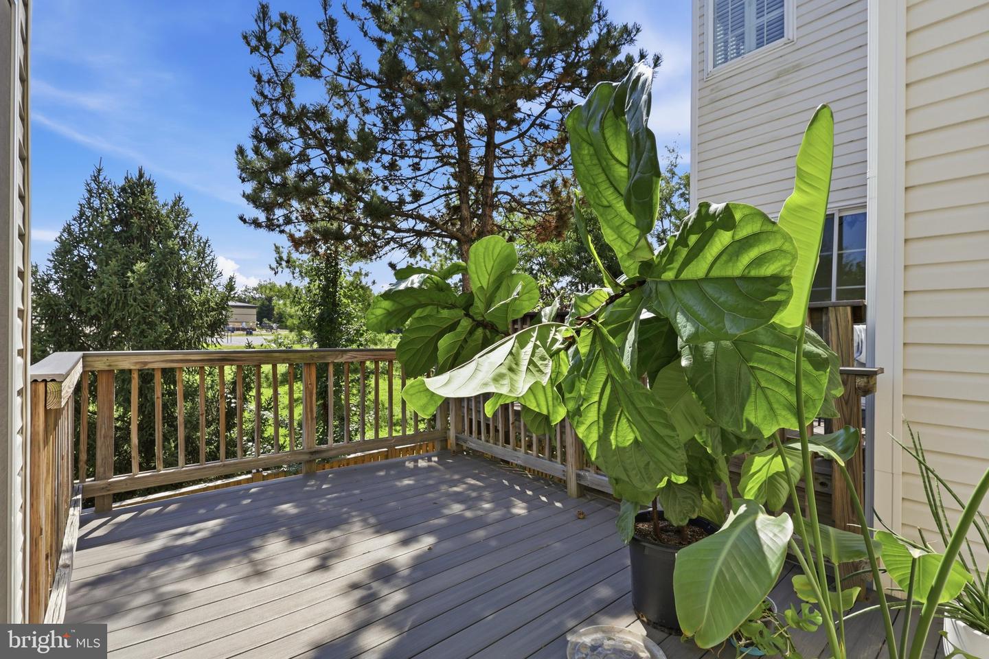 2524 Terra Cotta Cir Property Photo 39