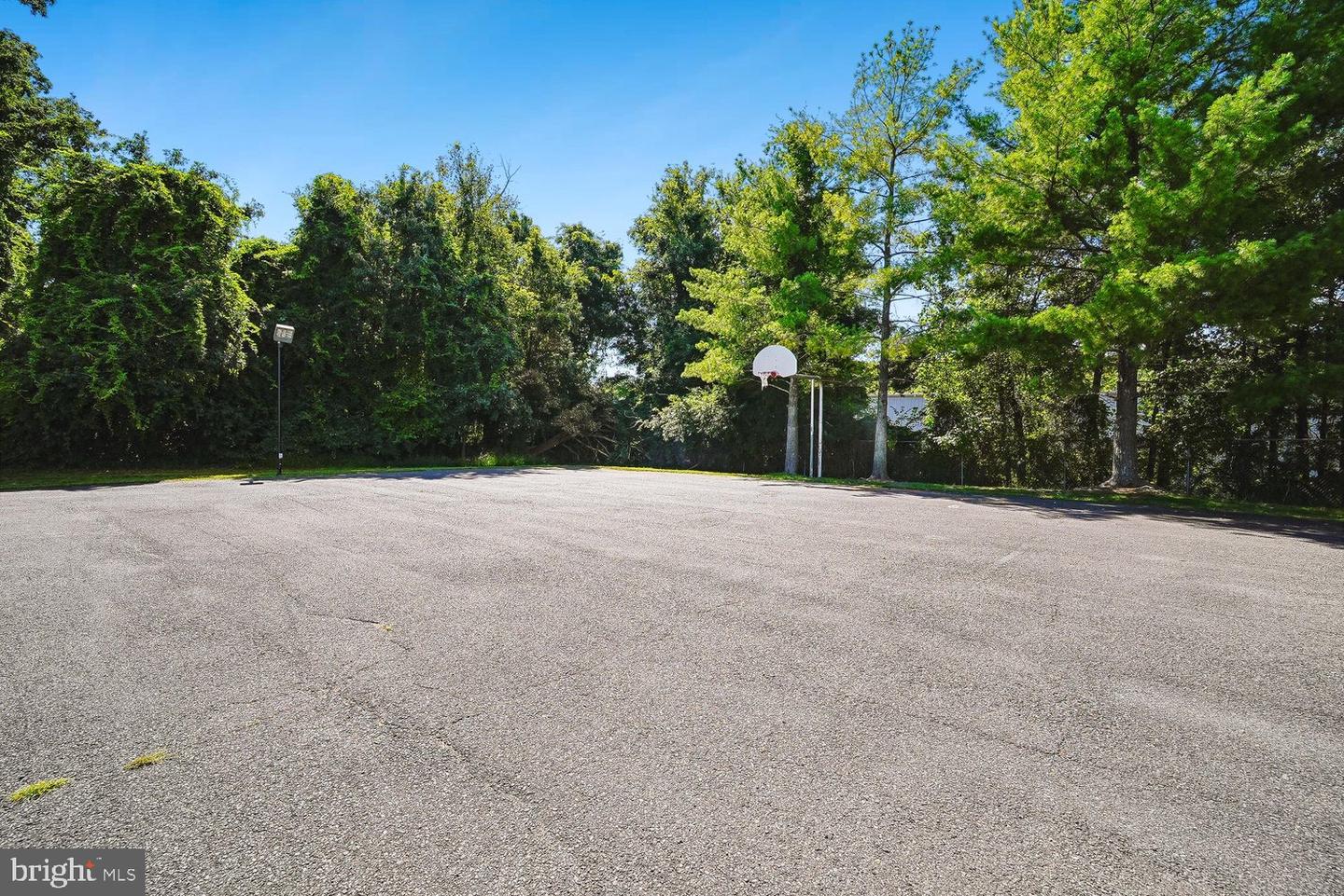 5572 Glasgow Woods Ct Property Photo 49