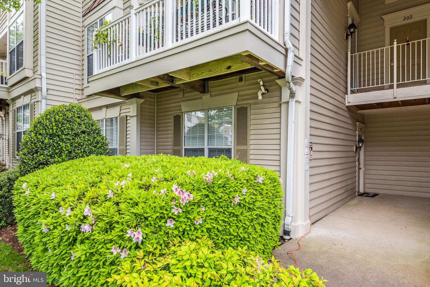 8202 Catbird Cir #101 Property Photo 2