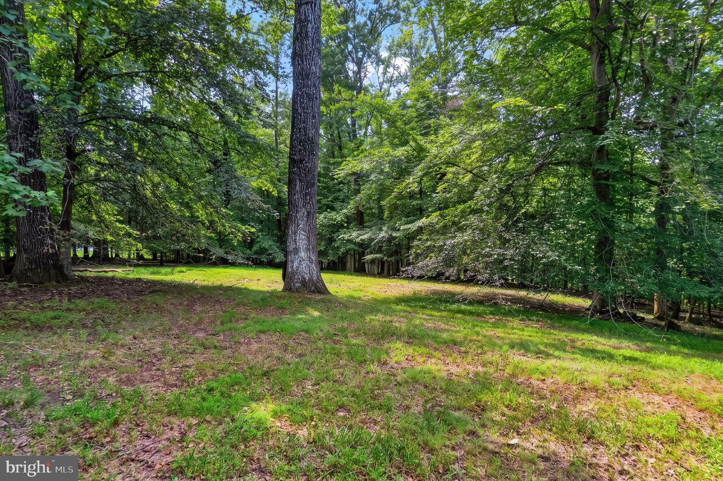 7830 My Way Property Photo 15