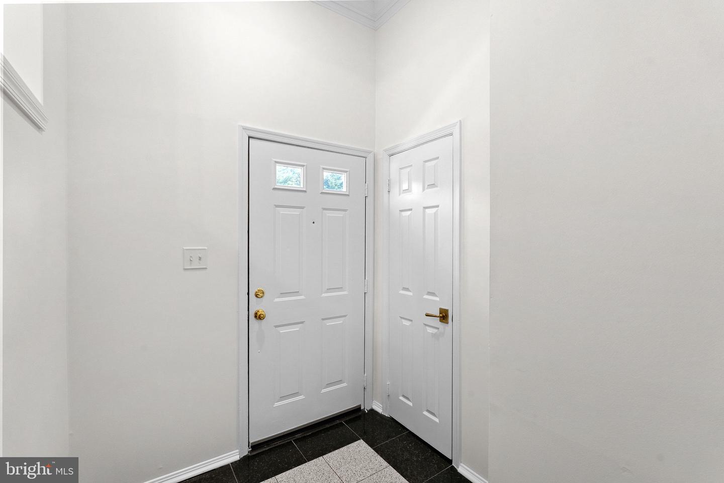 7877 Painted Daisy Dr Property Photo 2
