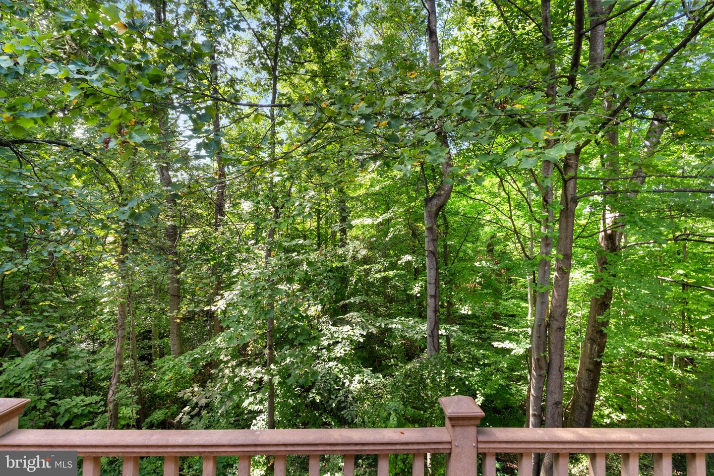 7877 Painted Daisy Dr Property Photo 45