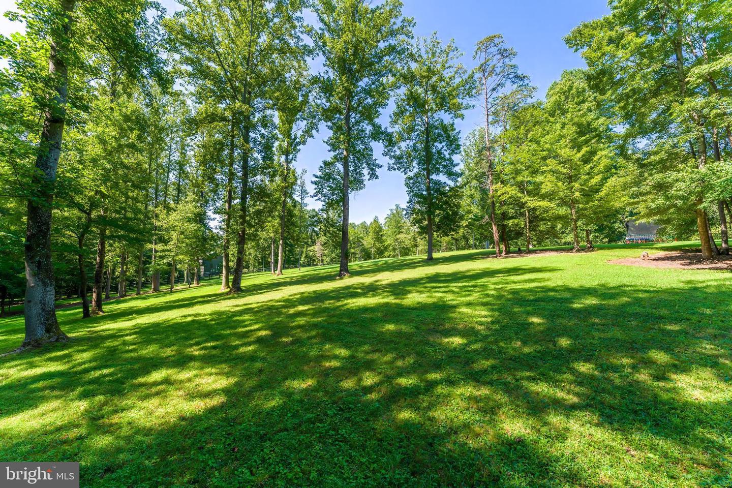 8320 Sylvan Way Property Photo 93