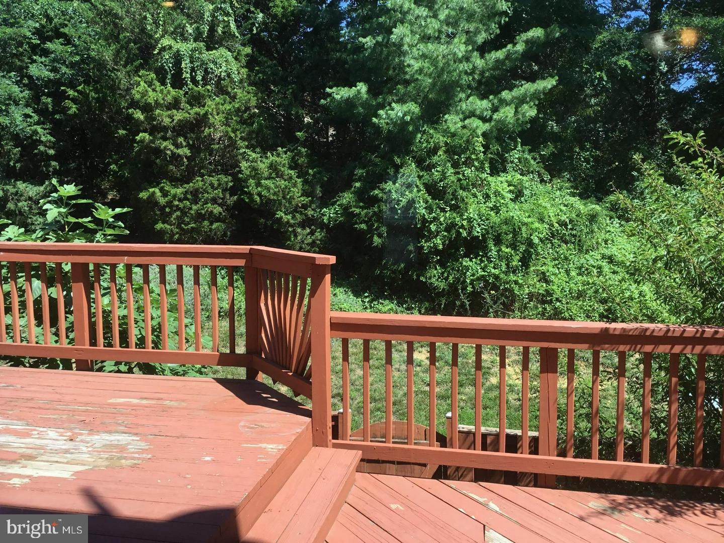 5271 Ballycastle Cir E Property Photo 17