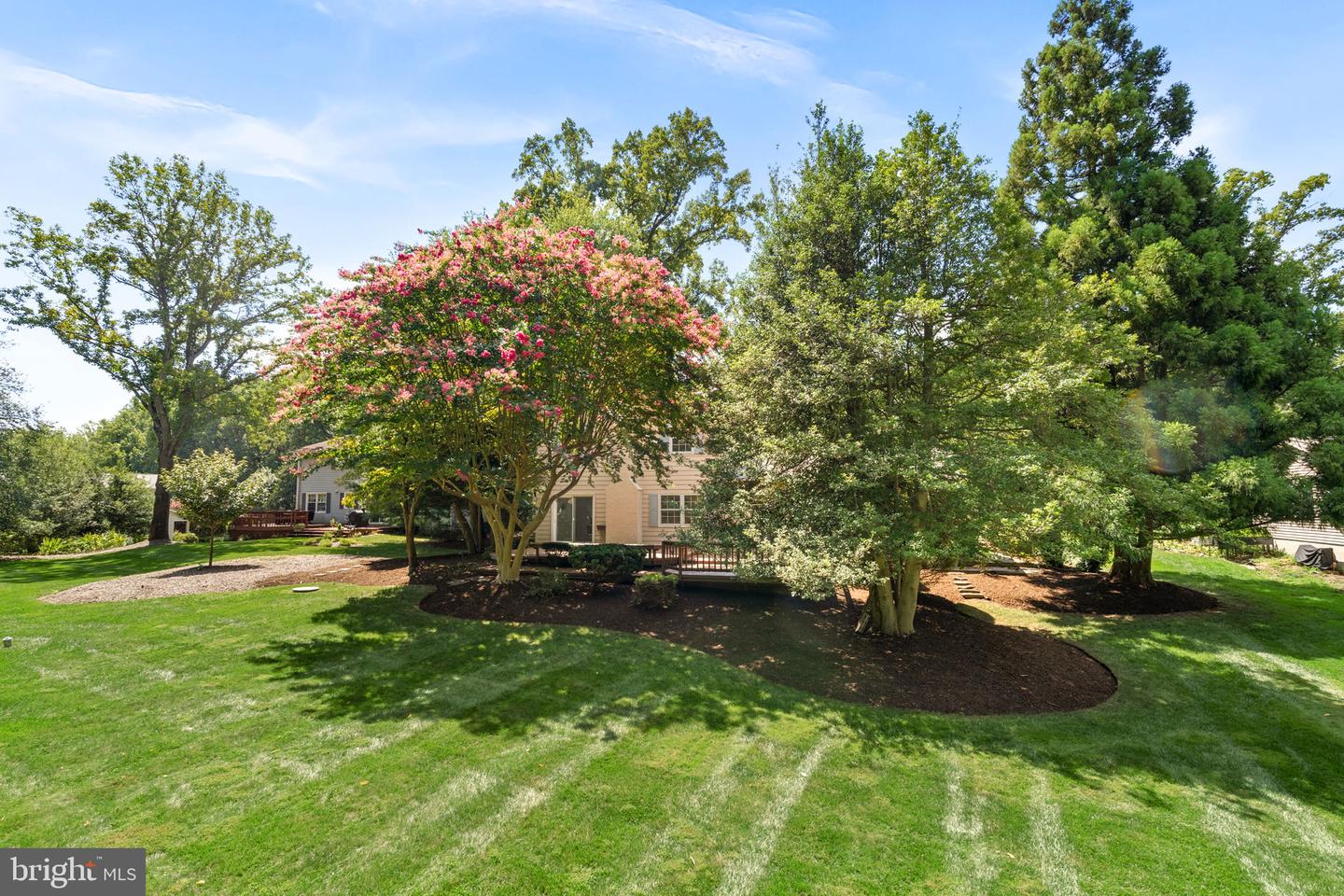 3241 Betsy Ln Property Photo 59