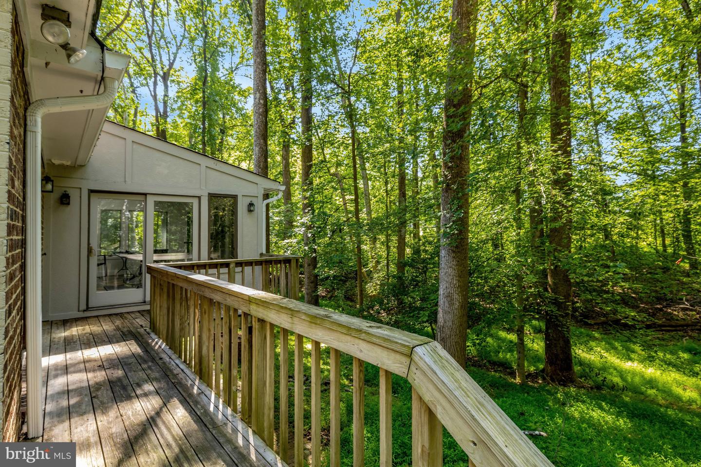 9982 Blackberry Ln Property Photo 49