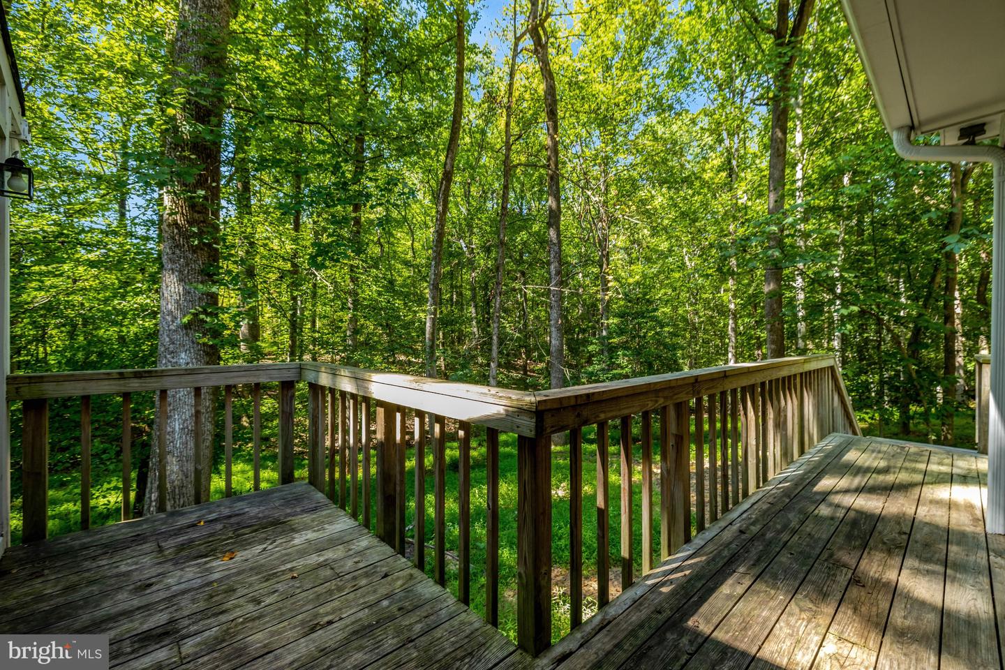 9982 Blackberry Ln Property Photo 50