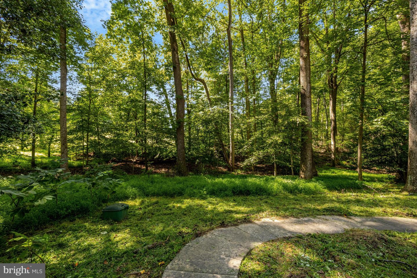 9982 Blackberry Ln Property Photo 53
