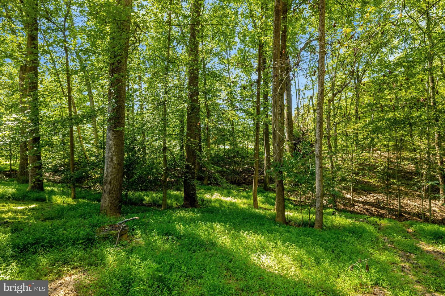 9982 Blackberry Ln Property Photo 55