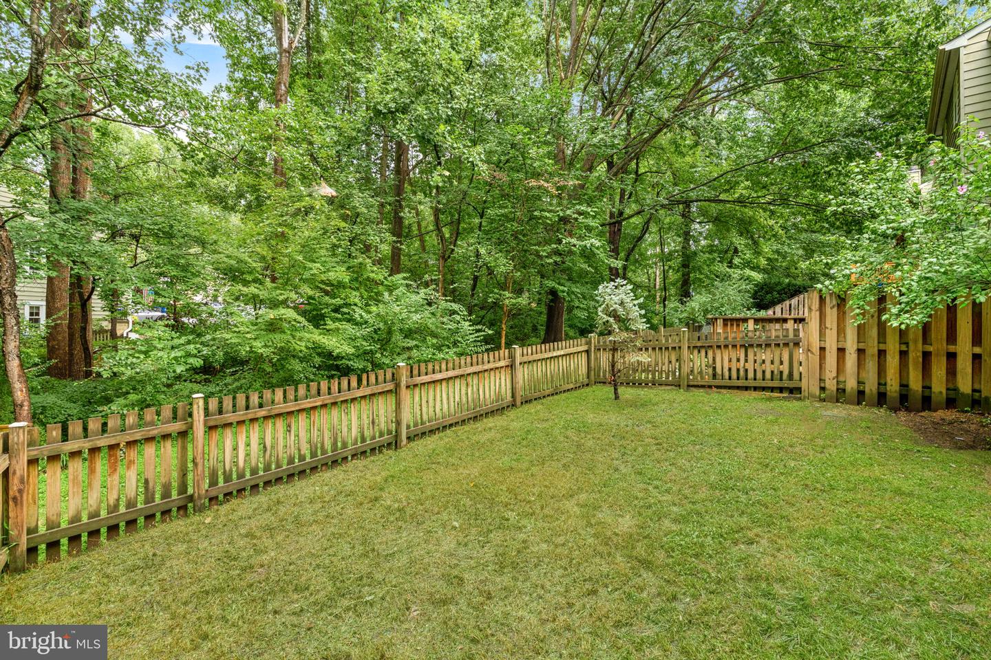 10131 Walnut Wood Ct Property Photo 33