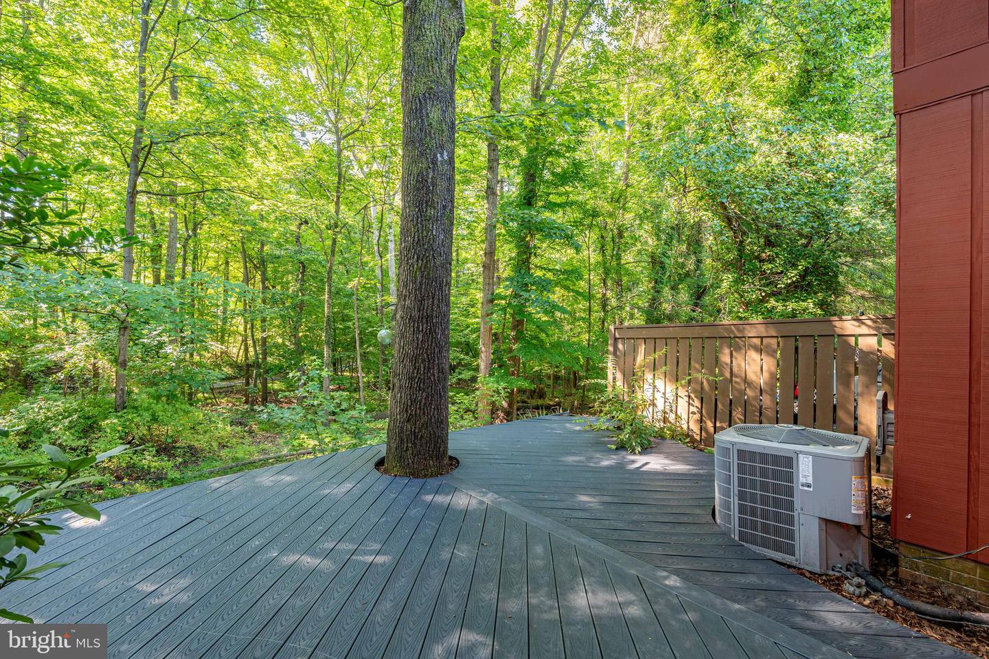 11903 Escalante Ct Property Photo 7